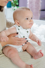 Ielādēt attēlu ,Lacīte - TURTLE