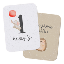 Load image into Gallery viewer, Monthly cards - ANIMAL